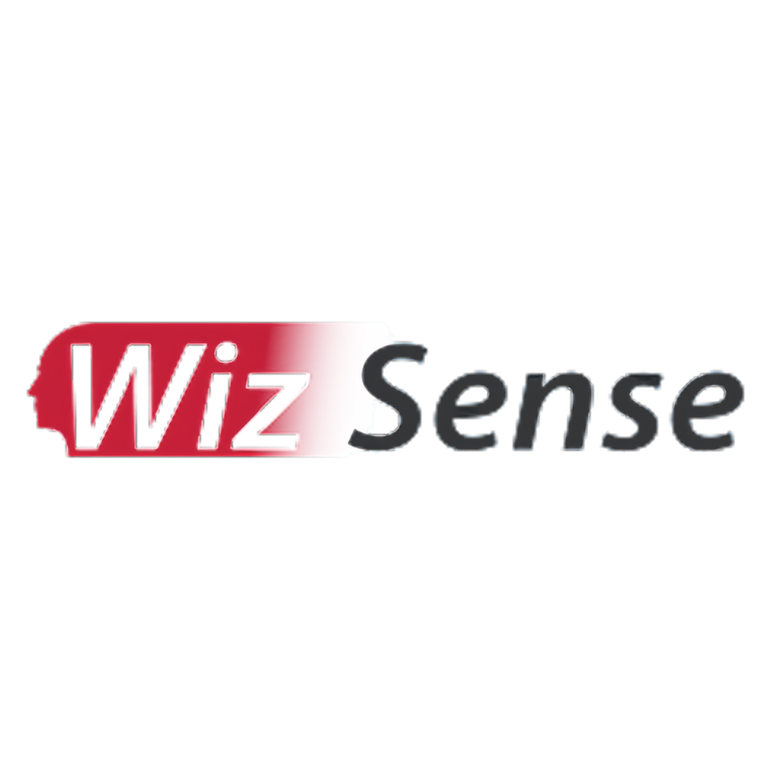 WIZSENSE
