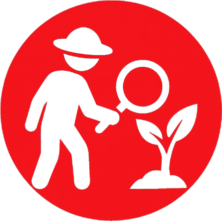 Control de procesos