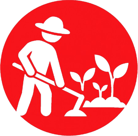 Vista de cultivo